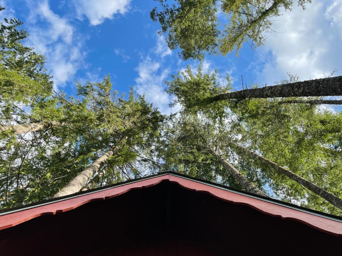 Mt Rainier Little Red Cabin Ашфорд Екстериор снимка